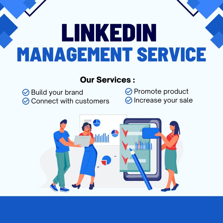 LinkedIn Ads Services in Maldives for B2B Lead Generation and Business Marketing 2026